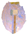 images/dorfman_surely2004ab.jpg